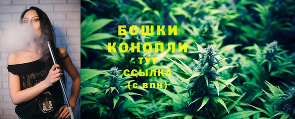 ГАЛЛЮЦИНОГЕННЫЕ ГРИБЫ Алзамай