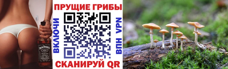 гидра вход  Пермь  Галлюциногенные грибы Psilocybe 